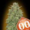 00 Skunk UITVERKOOP