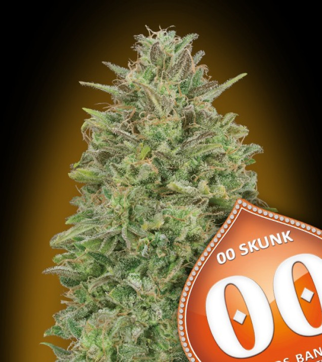 00 Skunk UITVERKOOP