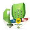 Watermelon Automatic UITVERKOOP