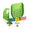 Mimosa Automatic UITVERKOOP