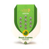 Royal Cookies Autoflowering UITVERKOOP