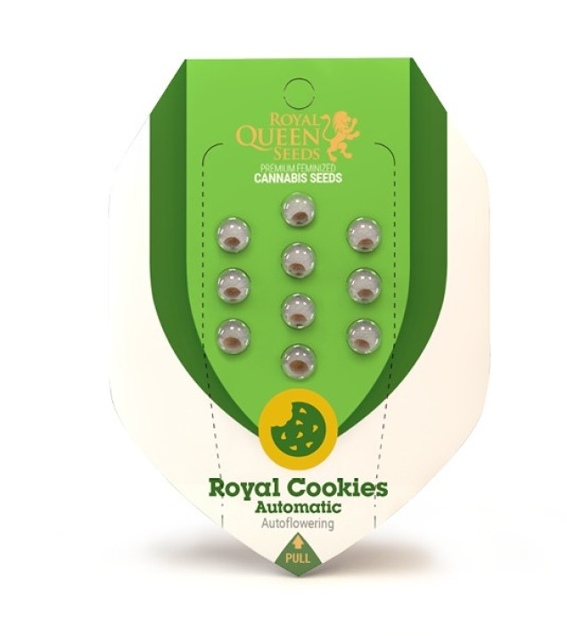 Royal Cookies Autoflowering UITVERKOOP