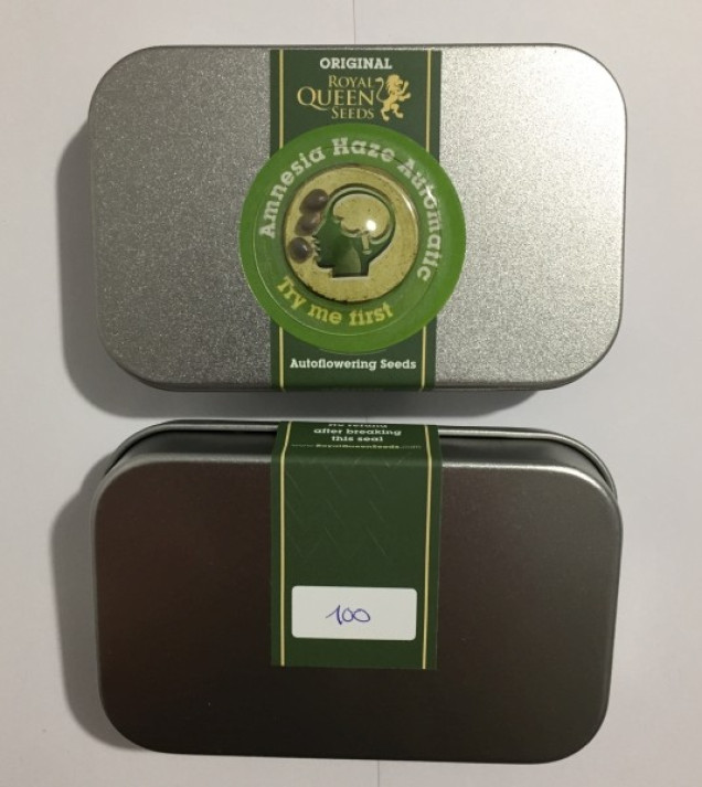 Amnesia Haze Automatic UITVERKOOP