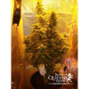 Amnesia Haze Automatic UITVERKOOP
