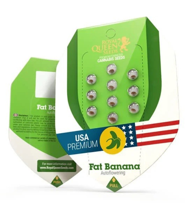 Fat Banana Automatic UITVERKOOP