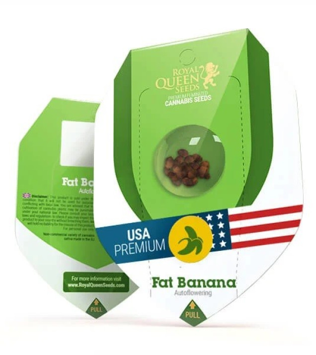Fat Banana Automatic UITVERKOOP