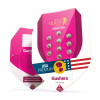 Gushers UITVERKOOP