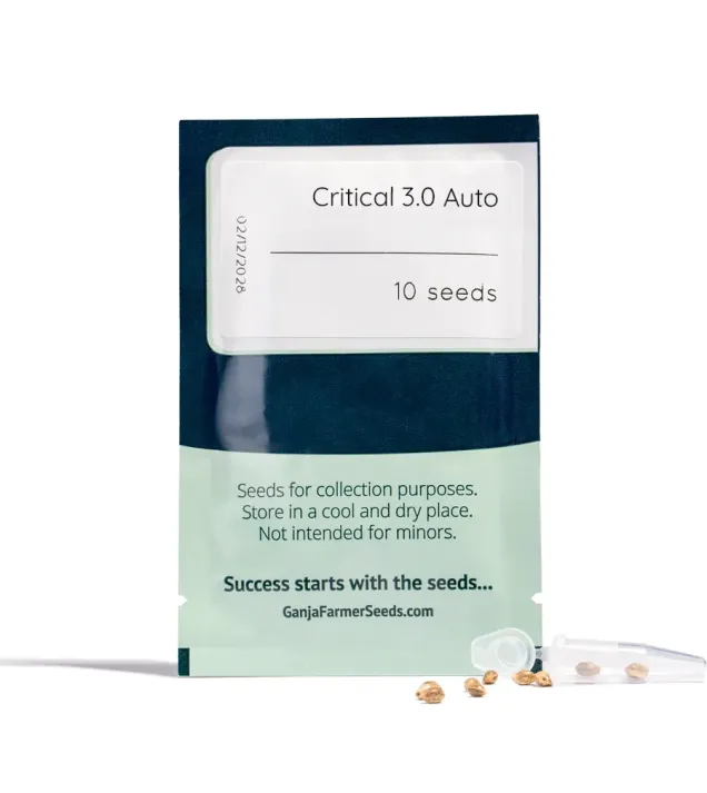 Critical 3.0 Auto