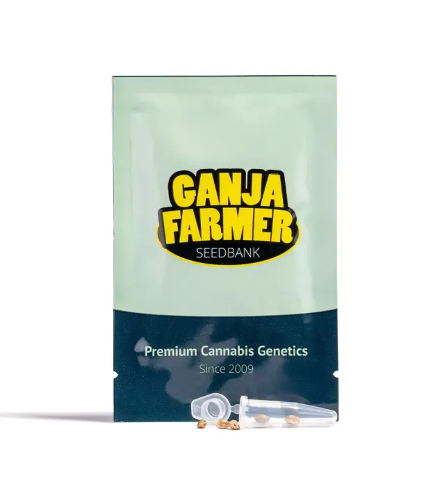 Skywalker 2.0