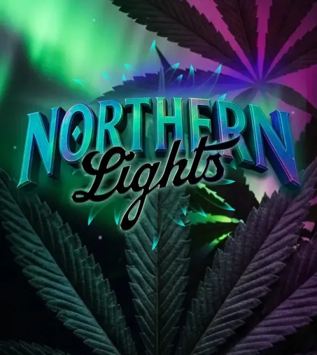 Northern Lights