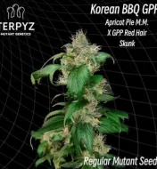 Korean BBQ GPP Regular&nbsp;