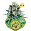 Bubble Kush Automatic UITVERKOOP
