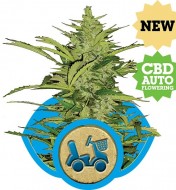 Fast Eddy Automatic CBD