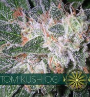 Tom Kush OG
