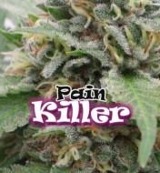 Painkiller