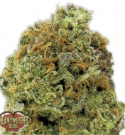 Wipeout Express Auto