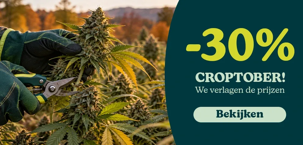 Croptober