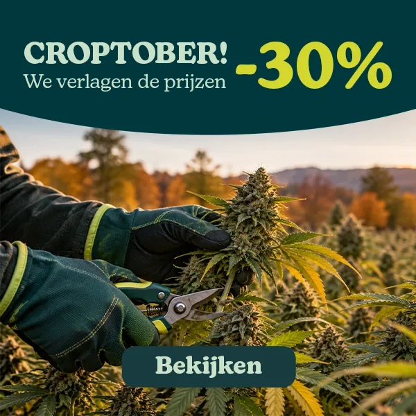 Croptober