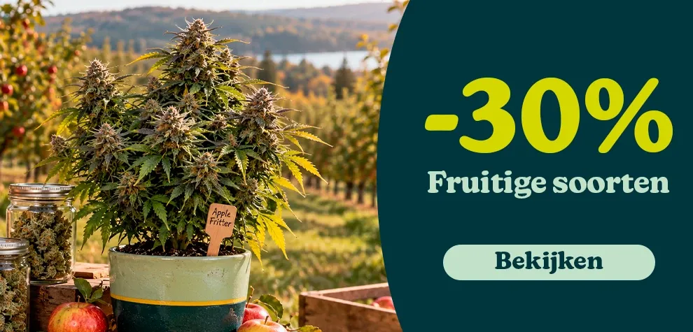 Ganja Farmer
