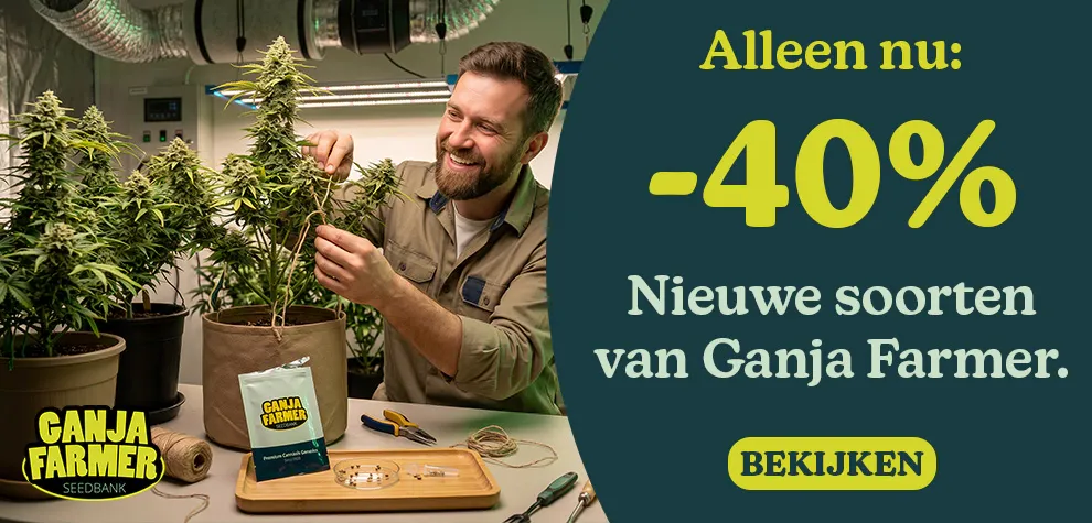 -40% Nieuwe aanwinsten van Ganja Farmer